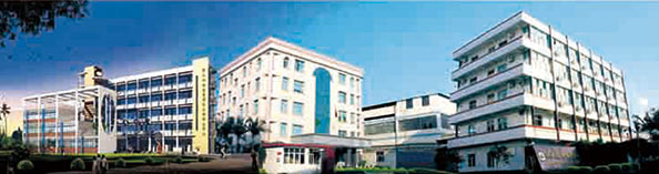 興業(yè)皮革科技股份有限公司在深交所成功上市（1992年，公司參股興業(yè)皮革廠，成為主要股東之一）。